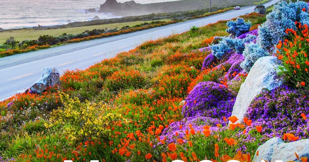 Tourism Powers Oxnard’s Economy as California Remains Nation’s Top ...